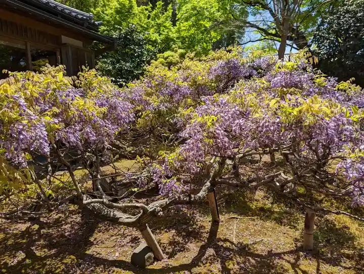 長慶院(京都府)