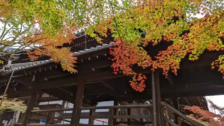 真正極楽寺(真如堂)(京都府)