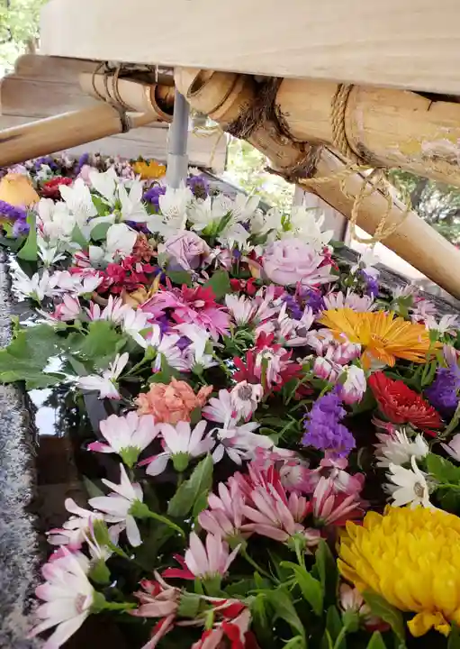 鳩森八幡神社(東京都)
