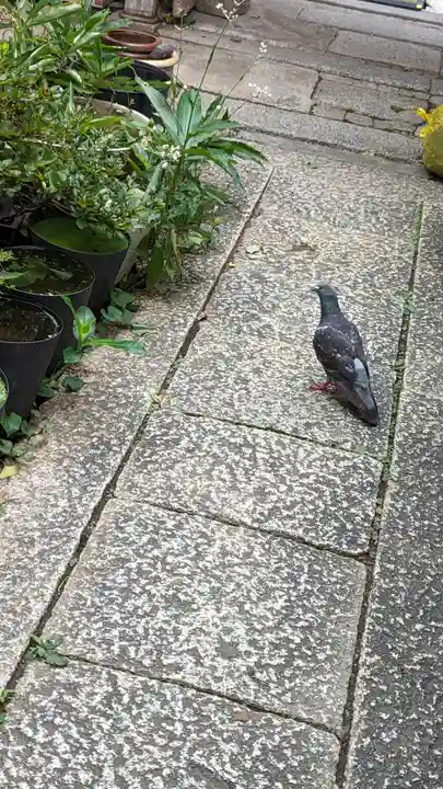 教行院(京都府)