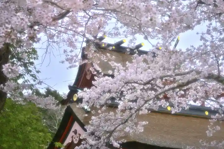 富士山本宮浅間大社(静岡県)