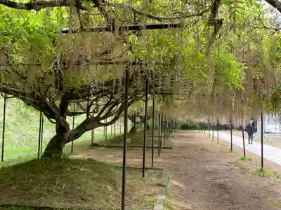 天台宗 五大山 白毫寺(兵庫県)