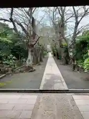 極楽寺（霊鷲山感應院極楽律寺）の建物その他