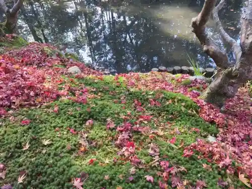 南禅寺の庭園