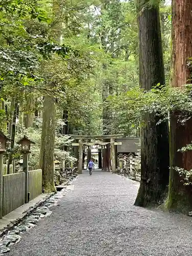 椿大神社の鳥居