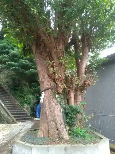 住吉神社のその他建物