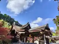 鍬山神社の本殿・本堂