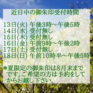 西方山極楽寺(岐阜県)(2019年08月13日(火) 01時46分38秒投稿)