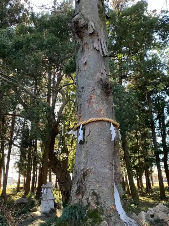 春日神社(栃木県)