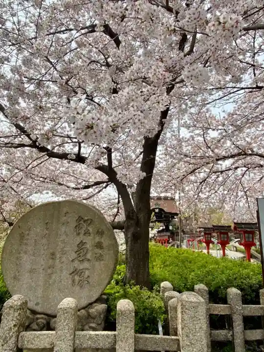 六孫王神社の自然