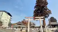 鹿沼今宮神社(栃木県)