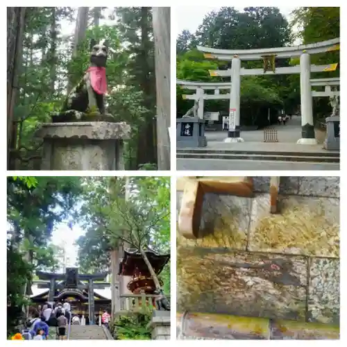 三峯神社(埼玉県)