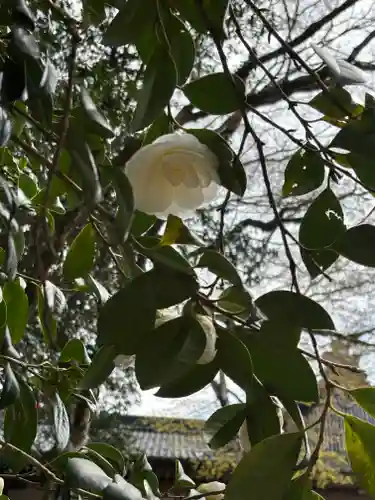 高源寺(兵庫県)
