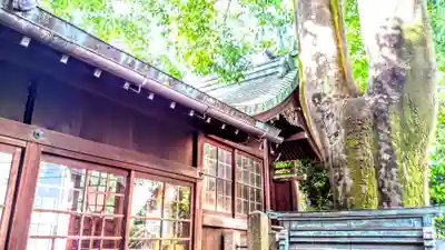 金刀比羅社の本殿・本堂