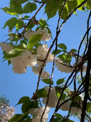 白雲神社(京都府)
