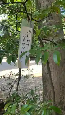 井草八幡宮(東京都)