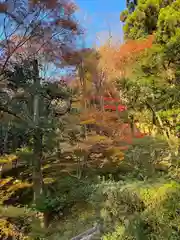 慈照寺（慈照禅寺・銀閣寺）(京都府)