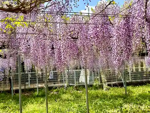 岩田神社(香川県)