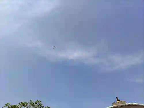 宝勝山　南藏院   蓮光寺の自然