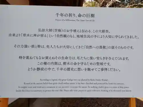 天河大辨財天社の{uncategorized: "未分類", other: "その他", undefined: "問題あり", building: "その他建物", grave: "お墓", sacred_gate: "鳥居", guardian: "狛犬", statue: "像", buddha: "仏像", history: "歴史", nature: "自然", garden: "庭園", animal: "動物", pagoda: "塔", temizu: "手水舎", mountain_gate: "山門・神門", sanctuary: "本殿・本堂", subordinate: "末社・摂社", art: "芸術", scenery: "景色", jizo: "地蔵", ema: "絵馬", goshuin: "御朱印", omikuji: "おみくじ", items: "授与品その他", amulet: "お守り", goshuincho: "御朱印帳", eats: "食事", festival: "お祭り", votive_dance: "神楽", shichigosan: "七五三参", wedding: "結婚式", experience: "体験その他", initially: "初詣", around: "周辺", anti_infection: "感染症対策"}