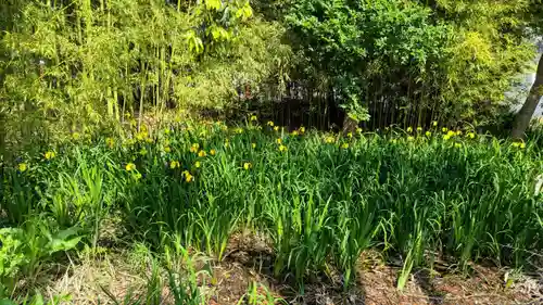 菊田神社の自然