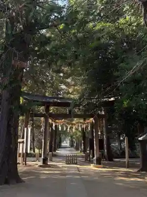 中山神社の{uncategorized: "未分類", other: "その他", undefined: "問題あり", building: "その他建物", grave: "お墓", sacred_gate: "鳥居", guardian: "狛犬", statue: "像", buddha: "仏像", history: "歴史", nature: "自然", garden: "庭園", animal: "動物", pagoda: "塔", temizu: "手水舎", mountain_gate: "山門・神門", sanctuary: "本殿・本堂", subordinate: "末社・摂社", art: "芸術", scenery: "景色", jizo: "地蔵", ema: "絵馬", goshuin: "御朱印", omikuji: "おみくじ", items: "授与品その他", amulet: "お守り", goshuincho: "御朱印帳", eats: "食事", festival: "お祭り", votive_dance: "神楽", shichigosan: "七五三参", wedding: "結婚式", experience: "体験その他", initially: "初詣", around: "周辺", anti_infection: "感染症対策"}