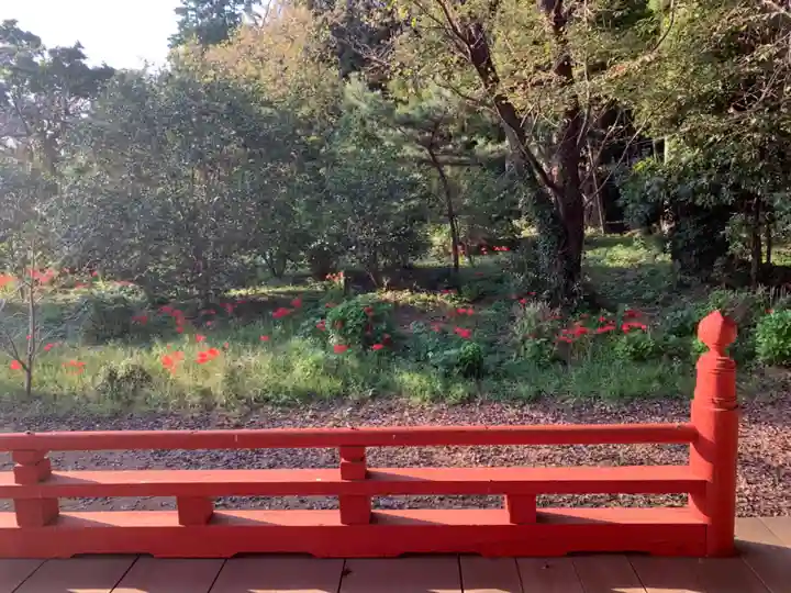 常福寺(千葉県)