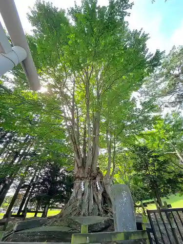 美幌神社(北海道)