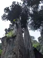 榛名神社の自然