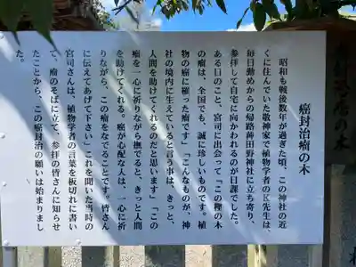 稗田野神社(薭田野神社)(京都府)