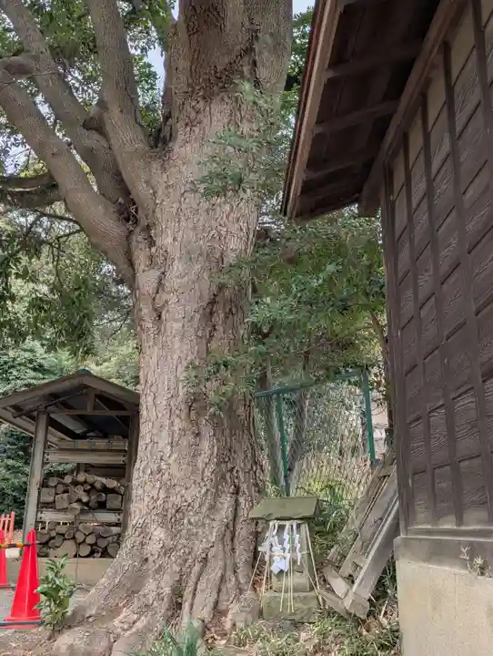 下総国三山 二宮神社(千葉県)