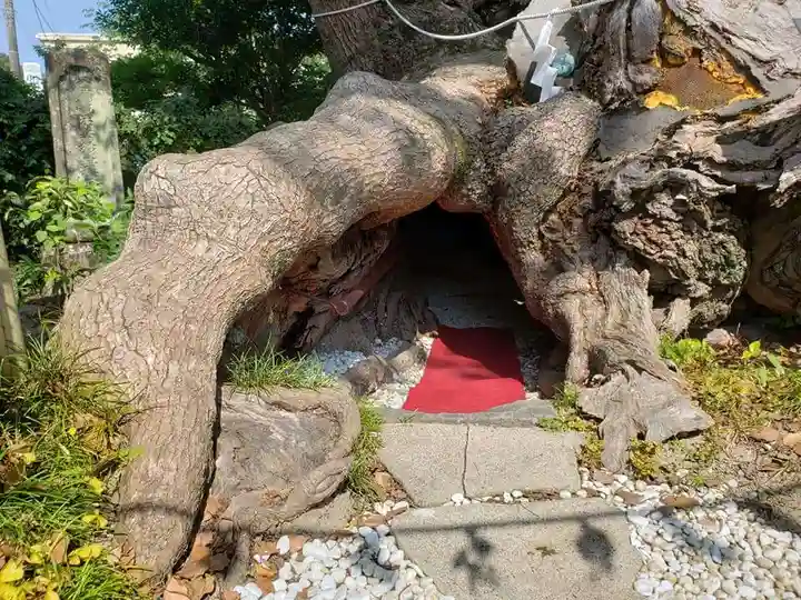 牛嶋天満宮の自然