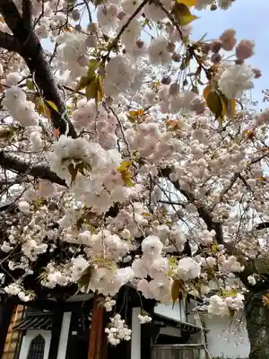 南泉寺(東京都)
