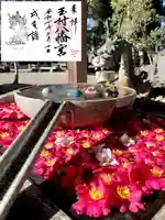 玉村八幡宮(群馬県)