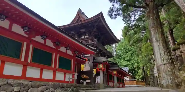 石上神宮(奈良県)