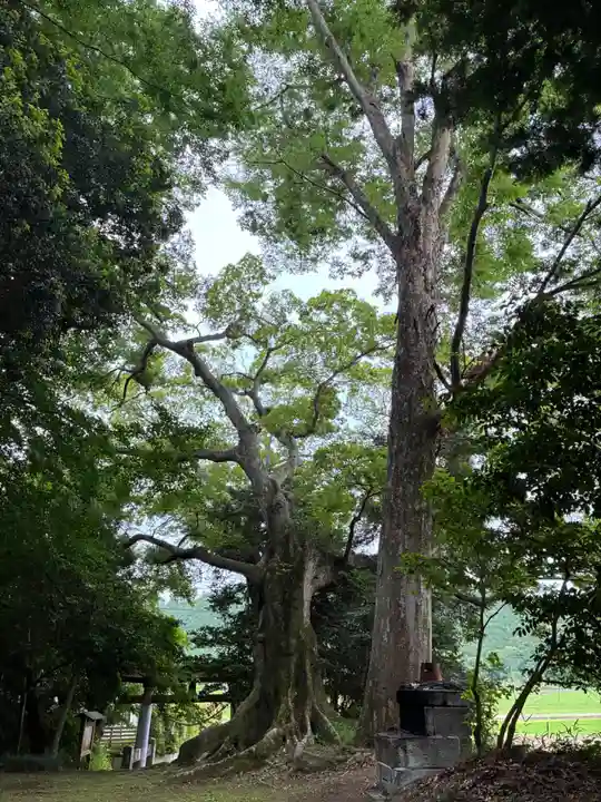 高房神社(茨城県)