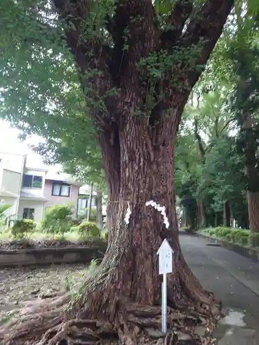 五社神社の自然