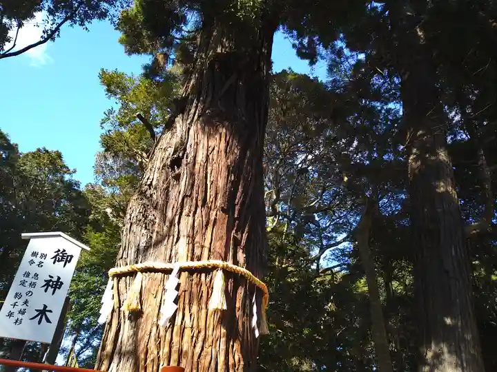 息栖神社の自然