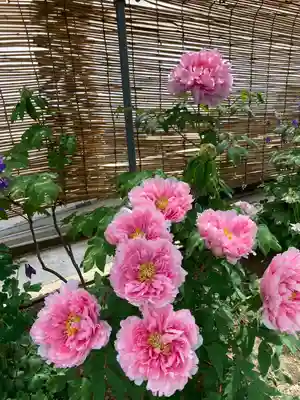 薬師院(兵庫県)