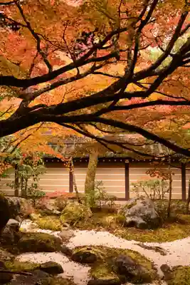 禅林寺(永観堂)(京都府)