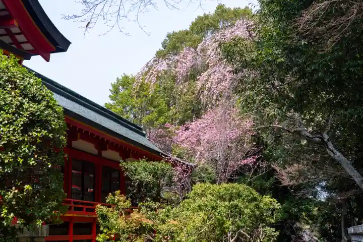 近江神宮(滋賀県)