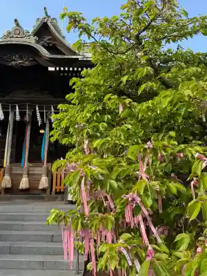 桜神宮の{uncategorized: "未分類", other: "その他", undefined: "問題あり", building: "その他建物", grave: "お墓", sacred_gate: "鳥居", guardian: "狛犬", statue: "像", buddha: "仏像", history: "歴史", nature: "自然", garden: "庭園", animal: "動物", pagoda: "塔", temizu: "手水舎", mountain_gate: "山門・神門", sanctuary: "本殿・本堂", subordinate: "末社・摂社", art: "芸術", scenery: "景色", jizo: "地蔵", ema: "絵馬", goshuin: "御朱印", omikuji: "おみくじ", items: "授与品その他", amulet: "お守り", goshuincho: "御朱印帳", eats: "食事", festival: "お祭り", votive_dance: "神楽", shichigosan: "七五三参", wedding: "結婚式", experience: "体験その他", initially: "初詣", around: "周辺", anti_infection: "感染症対策"}