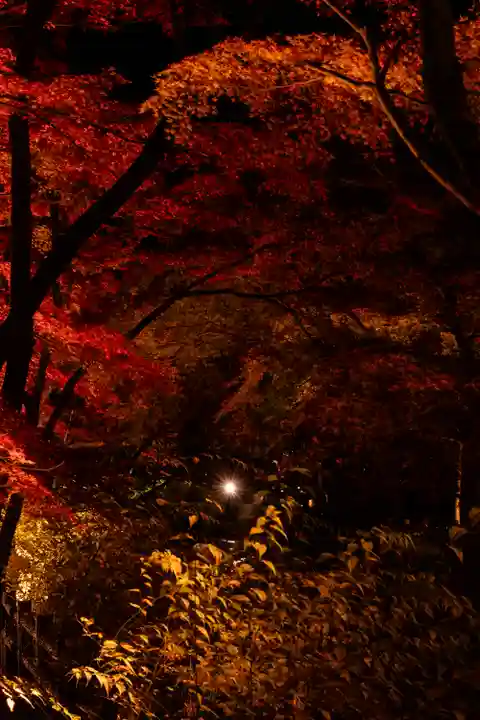 北野天満宮(京都府)