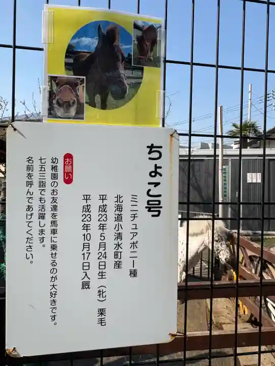 五方山熊野神社の{uncategorized: "未分類", other: "その他", undefined: "問題あり", building: "その他建物", grave: "お墓", sacred_gate: "鳥居", guardian: "狛犬", statue: "像", buddha: "仏像", history: "歴史", nature: "自然", garden: "庭園", animal: "動物", pagoda: "塔", temizu: "手水舎", mountain_gate: "山門・神門", sanctuary: "本殿・本堂", subordinate: "末社・摂社", art: "芸術", scenery: "景色", jizo: "地蔵", ema: "絵馬", goshuin: "御朱印", omikuji: "おみくじ", items: "授与品その他", amulet: "お守り", goshuincho: "御朱印帳", eats: "食事", festival: "お祭り", votive_dance: "神楽", shichigosan: "七五三参", wedding: "結婚式", experience: "体験その他", initially: "初詣", around: "周辺", anti_infection: "感染症対策"}