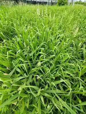 厚別神社(北海道)