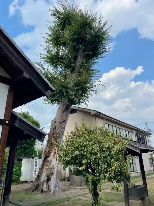 菅原神社(埼玉県)