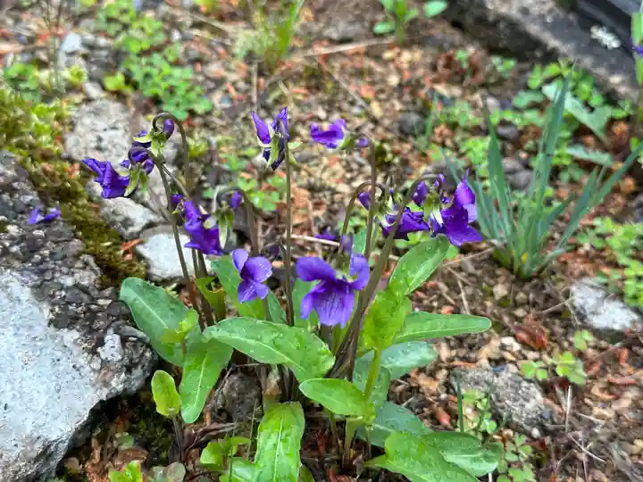 西明寺(山形県)