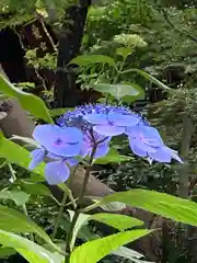 愛宕神社(東京都)