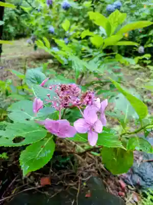 瑞泉寺(神奈川県)