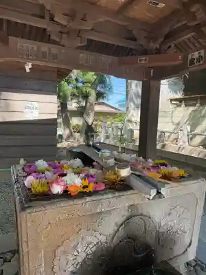 上野総社神社の{uncategorized: "未分類", other: "その他", undefined: "問題あり", building: "その他建物", grave: "お墓", sacred_gate: "鳥居", guardian: "狛犬", statue: "像", buddha: "仏像", history: "歴史", nature: "自然", garden: "庭園", animal: "動物", pagoda: "塔", temizu: "手水舎", mountain_gate: "山門・神門", sanctuary: "本殿・本堂", subordinate: "末社・摂社", art: "芸術", scenery: "景色", jizo: "地蔵", ema: "絵馬", goshuin: "御朱印", omikuji: "おみくじ", items: "授与品その他", amulet: "お守り", goshuincho: "御朱印帳", eats: "食事", festival: "お祭り", votive_dance: "神楽", shichigosan: "七五三参", wedding: "結婚式", experience: "体験その他", initially: "初詣", around: "周辺", anti_infection: "感染症対策"}